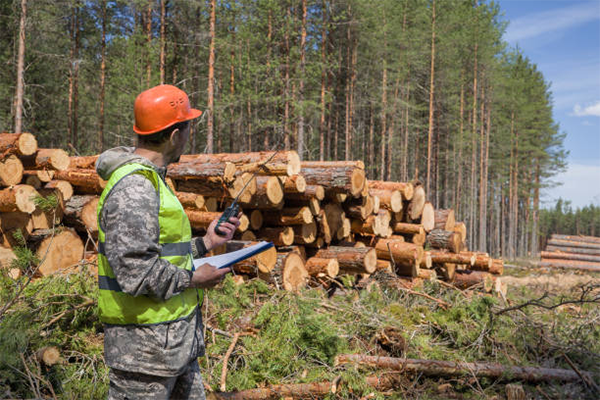 Forestry